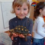 phoca_thumb_m_elva 23 Fotogalerie